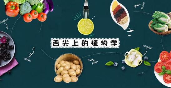 舌尖上的植物学